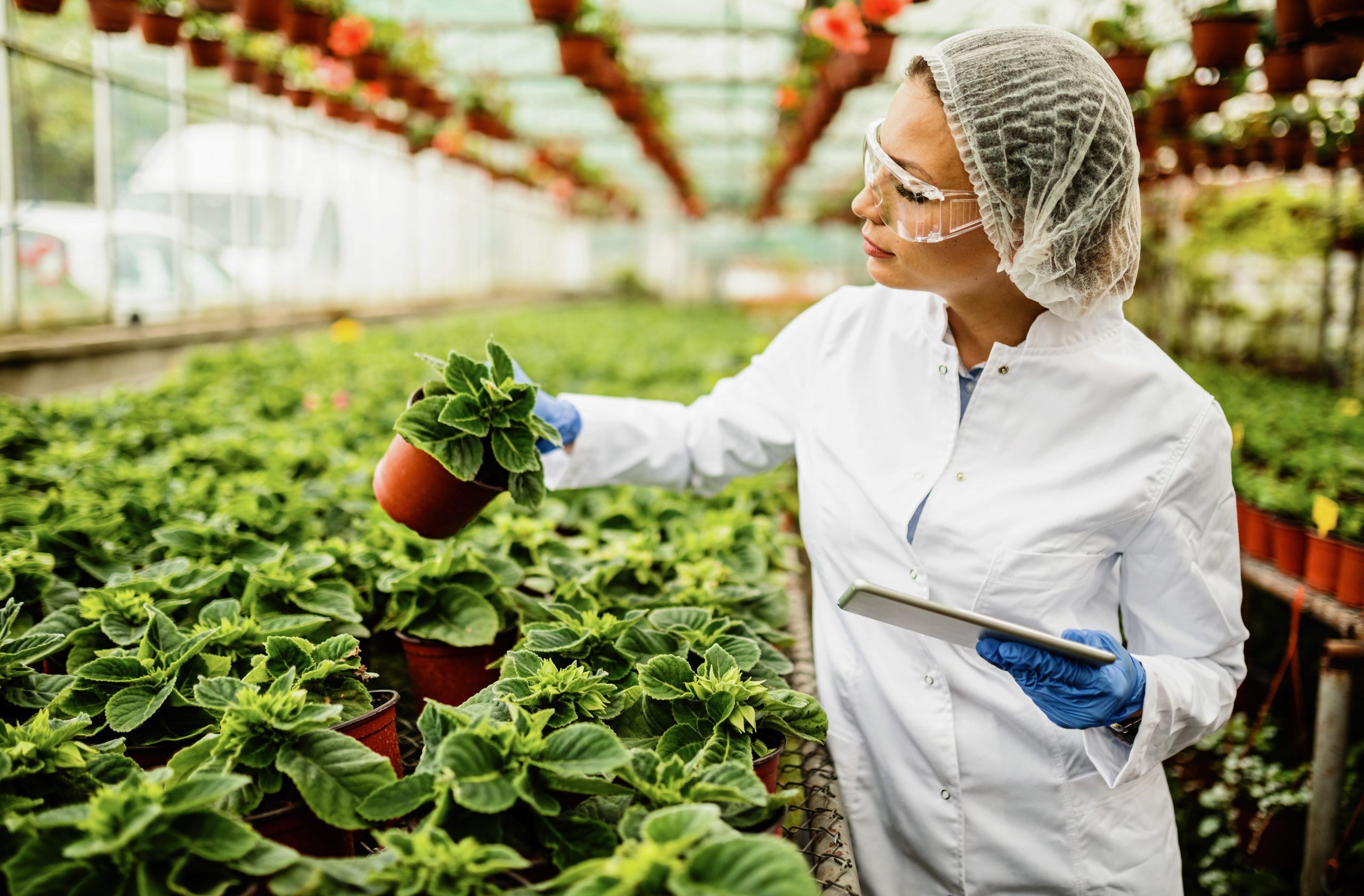 Maestría en Ciencias Agronómicas